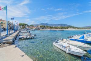 a group of boats are docked in the water at Appartamento Zoe - Goelba in Marina di Campo