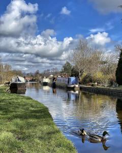 two ducks swimming in a river with boats at Owd Nell's Tavern in Garstang
