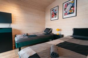 a bedroom with two beds and a tv in it at Derylovka - domki, jacuzzi, sauna in Zamość