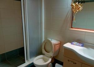 a bathroom with a toilet and a sink and a shower at Στης Χαράς in Porto Heli +10 photos
