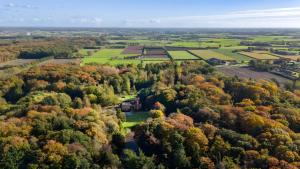 an aerial view of a park with trees in autumn at Glass Forest Cabin Holenduif I Privacy I 3BR Quiet in Oostkamp