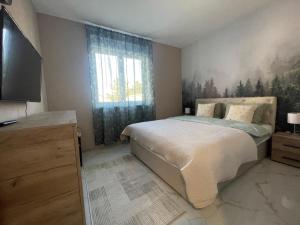 a bedroom with a bed and a television in it at Apartman Green Oaza in Vrbas