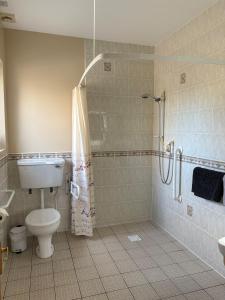a bathroom with a toilet and a shower and a sink at Derryvree Farm Cottage in Maguires Bridge