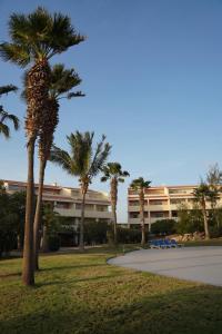 a building with palm trees in front of a park at Apartamento Paradise beach in Prainha