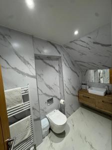 a marble bathroom with a toilet and a sink at Crannach House bed and breakfast and self catering apartments in Ballater +54 photos