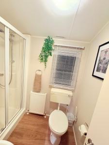 a bathroom with a toilet and a shower at The Vacation Lyons Winkups Towyn in Kinmel Bay
