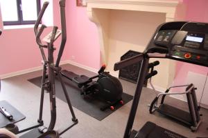 a room with a gym with a treadmill at Le Moulin Du Landion Hôtel et Spa in Dolancourt