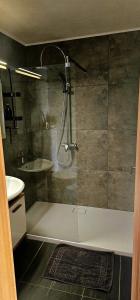 a bathroom with a shower and a sink at Appartement Les Salines in Roche