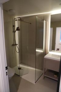 a bathroom with a shower and a toilet and a sink at 1st Floor Luxury 2-Bed Apt Sleeps 6 in St. Andrews