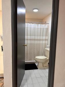 a bathroom with a toilet and a shower at Casa Homero 23 in Morelia +13 photos