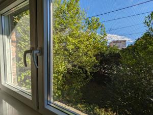 a window with a view of a bush at Bright & Sunny Studio in Sesvete