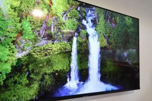 a television screen showing a waterfall in a forest at Bright & Sunny Studio in Sesvete