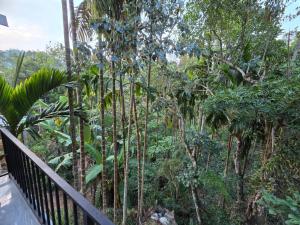 a view of the jungle from the balcony of a house at STILLMOSS Ella in Ella