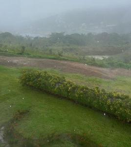 a field with green grass and flowers on a foggy hill at Apartamento aconchego na Serra in Bananeiras
