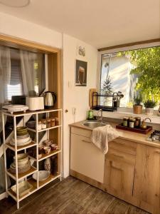a kitchen with a sink and a counter with dishes at BraziHouse - pine escape with jacuzzi in Petroşani