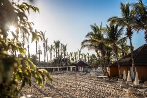 a beach with palm trees and chairs and a building at Tabaiba Princess in Maspalomas