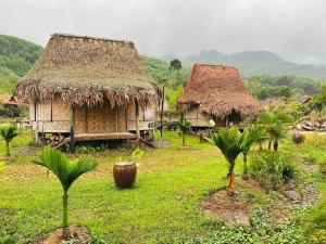two huts with grass roofs and palm trees in a field at Dhami Farmstay, Đông Giang, Đà Nẵng in Danang