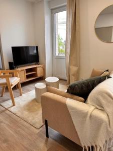 a living room with a couch and a tv at Savane 2 bedrooms and private parking in Vesoul