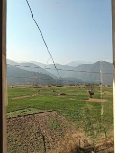 a view of a field with mountains in the distance at Hotel tapobhumi in Barkot