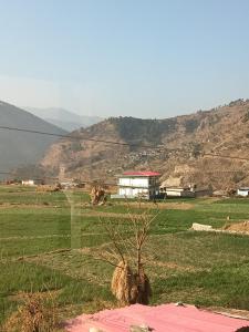 a tree in a field with a house in the background at Hotel tapobhumi in Barkot