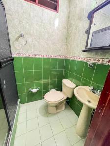 a green bathroom with a toilet and a sink at Piazza Granada in Cali