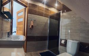 a bathroom with a shower and a toilet and a sink at Zielone Zacisze in Krościenko +83 photos