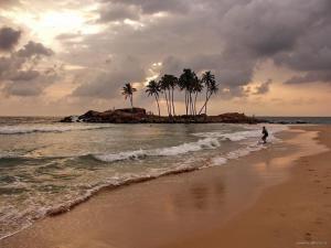 a person walking on a beach with palm trees at Sanda Villa Dodanduwa in Dodanduwa