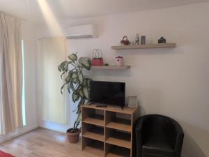 a room with a tv and a chair and a plant at Waterfall Studio in Bucharest