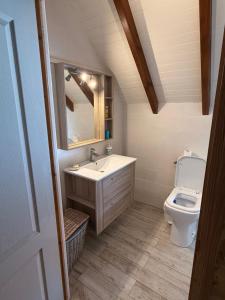 a bathroom with a sink and a toilet at Villa Lolyka in Terre-de-Haut