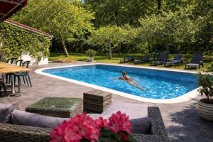 a person swimming in a swimming pool at Auberge Marcheroux in Amboise
