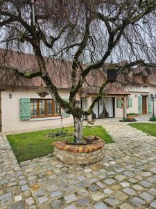 a tree in a stone circle in front of a house at Chez Eric et Nath in Bois-Herpin