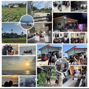 a collage of photos of people volunteering and events at Lemery farmbeach Escape in Lemery +77 photos