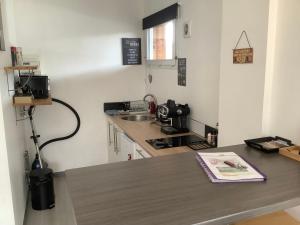 a kitchen with a counter with a sink and a stove at Le studio de St Martin in Saint-Martin-de-lʼArçon