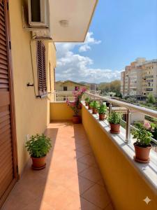a balcony with potted plants on a building at Apartments Vila Cala in Durrës