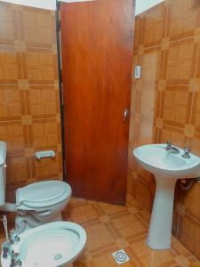 a bathroom with a toilet and a sink at Cactus del Valle 2 in Tinogasta