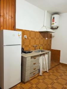 a kitchen with a white refrigerator and a sink at Cactus del Valle 2 in Tinogasta
