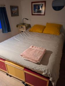 a bed with a pink towel on top of it at Bateau Escapade in Ramonville-Saint-Agne