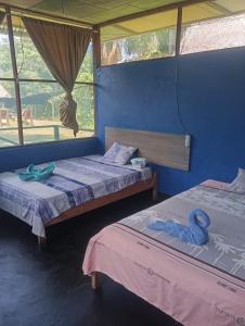 two beds in a room with a window at Amazon Macambo Lodge in Iquitos
