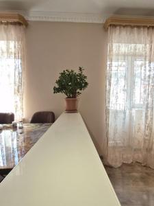 a table in a living room with a potted plant at Apartment in Jermuk in Jermuk
