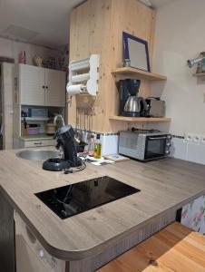 a kitchen with a counter top with a sink at La Chancellerie in Loches
