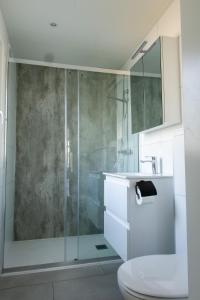 a bathroom with a shower with a toilet and a sink at Chalet Bosrijk in Haarle +14 photos