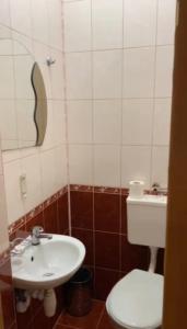 a bathroom with a sink and a toilet at Готель Ніколет in Mukacheve