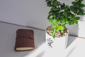 a leather wallet and a potted plant on a table at Ghetto Experience - Self Check-In - Usa cu Cod in Vaslui