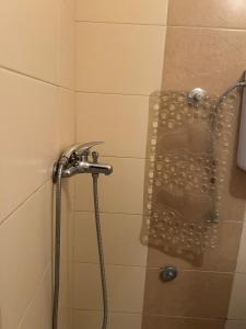 a shower with a shower head in a bathroom at Guest house Kozle in Skopje +28 photos