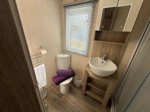 a small bathroom with a sink and a toilet at Sunset Serenity - 4 Sunset View in Crowle