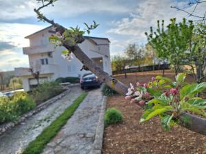 a tree with pink flowers in front of a house at Holiday Home Pearl in Stone in Imotski +40 photos