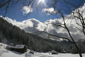 a winter view of a cabin in the snow at La Chanterelle - Mountain Lodge in La Côte dʼArbroz