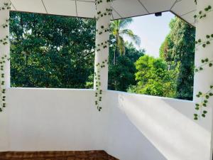 a room with a window and trees in the background at Ashi Hostel Sigiriya in Sigiriya