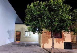 a tree in front of a house with a building at Bonsai House in Ramos Arizpe