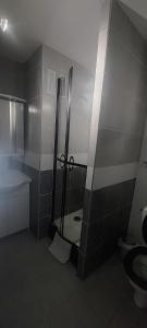 a bathroom with a shower and a toilet at Appartement les saladelles in Le Grau-du-Roi